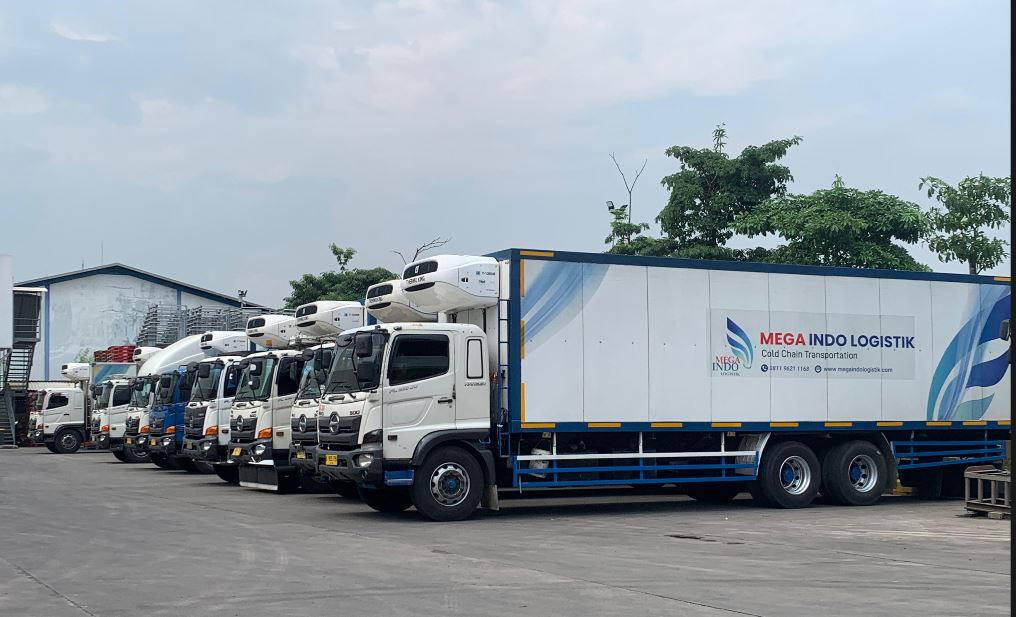 Frozen Logistics